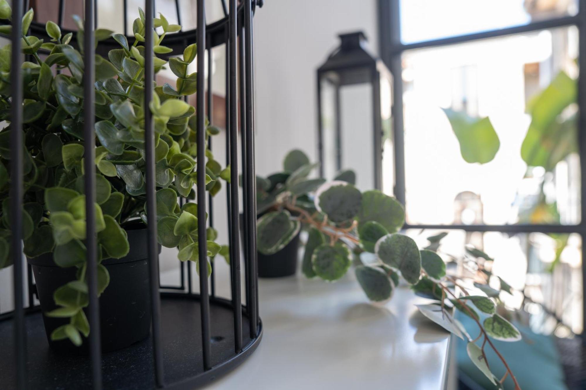 Mirone - Suite Apartments Catania Centro Εξωτερικό φωτογραφία